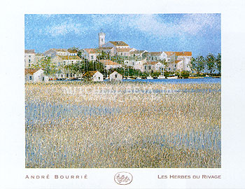 Les Herbes Du Rivage