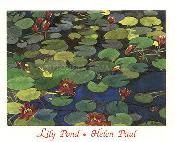 Lily Pond