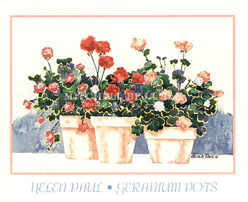 Geranium Pots