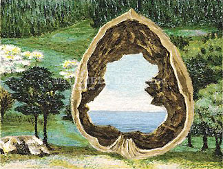 Folio XIV: Wonder (Suite of 5)