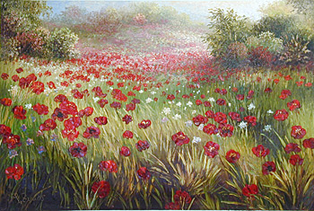 Red Poppies II